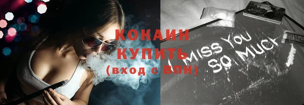 ешки Инсар