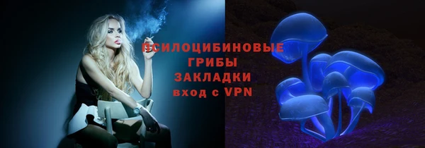 ешки Инта