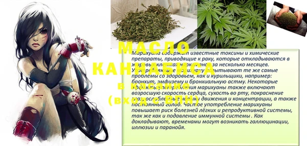 ешки Инта