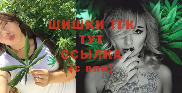 ешки Инта