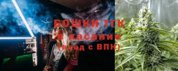 ешки Инсар