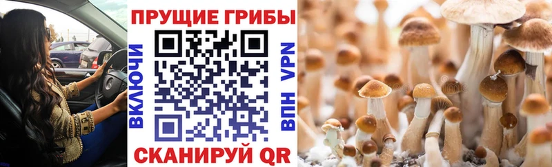 Псилоцибиновые грибы MAGIC MUSHROOMS  Купить закладки  Егорьевск 
